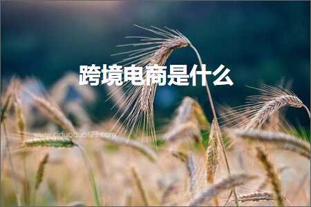 如何进行网站推广 跨境电商知识:跨境电商是什么